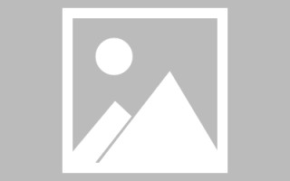 白城类目查询素材网站（类目查询素材网站有哪些）